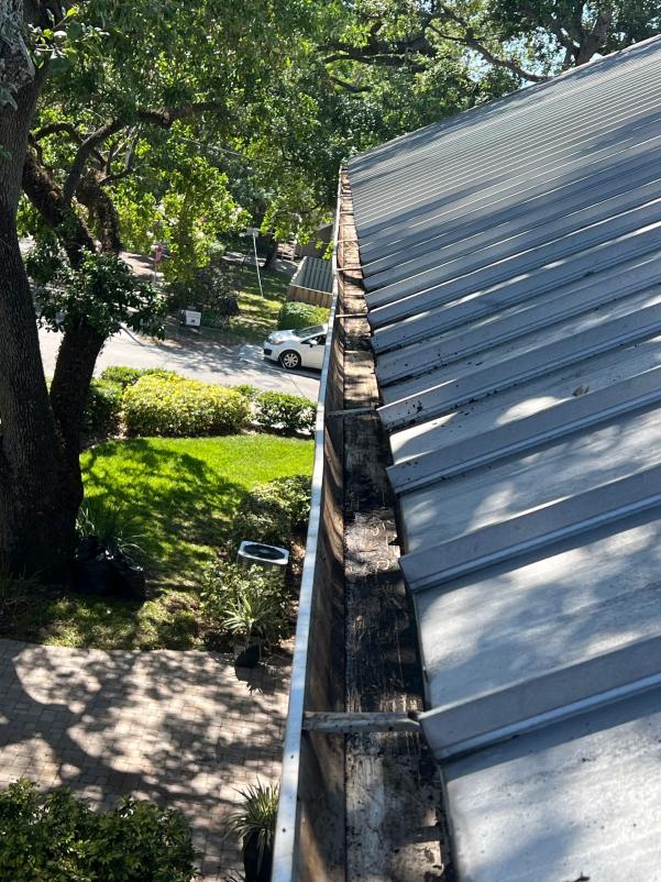 gutter cleaning service on a metal roof with debris buildup along the edge and surrounding greenery visible